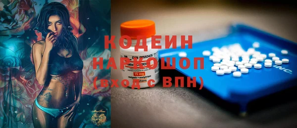 индика Карталы