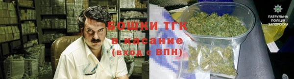 эйфоретик Карпинск