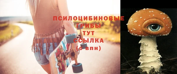 хмурый Касимов