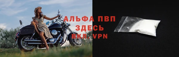 эйфоретик Карпинск
