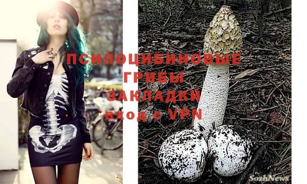 хмурый Касимов