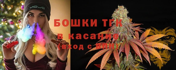 эйфоретик Карпинск