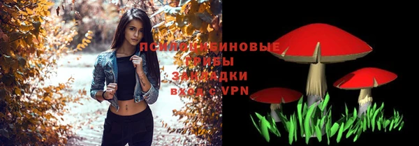 хмурый Касимов