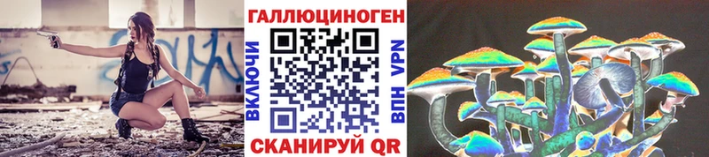 Галлюциногенные грибы Psilocybe Ершов