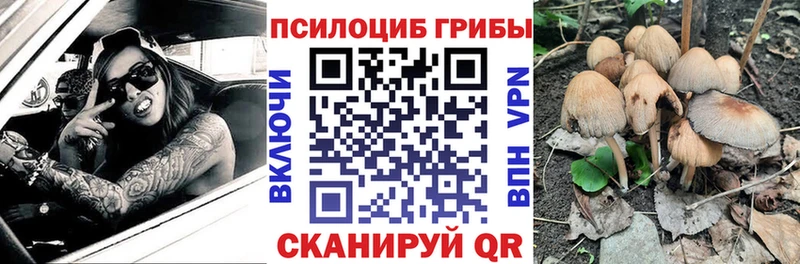 Галлюциногенные грибы мицелий  Купить закладки  Ершов 